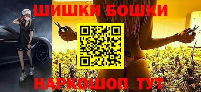 индика Сланцы