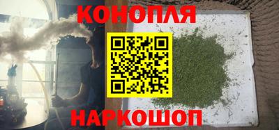 индика Сланцы
