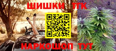 индика Сланцы