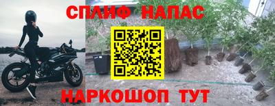 индика Сланцы