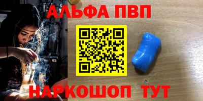 индика Сланцы