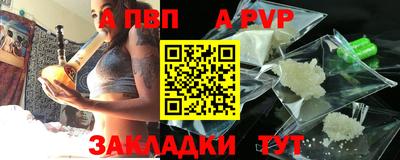 индика Сланцы